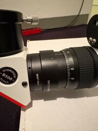 IMG_4538.jpeg