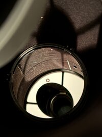 IMG_4554.jpeg