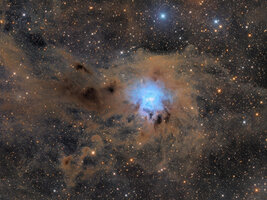 NGC7023 vdb141 2.jpg