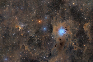 NGC7023 vdb141.jpg
