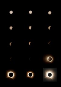 ContactSheet_001.jpg