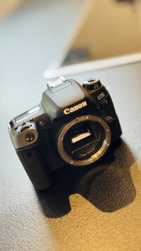 IMG_3307.jpeg