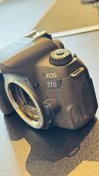 IMG_3308.jpeg