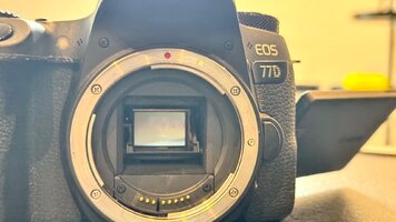 IMG_3311.jpeg