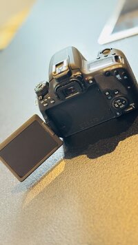 IMG_3310.jpeg