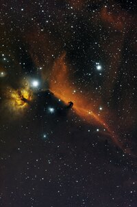 IC434 entrauscht1 Kopie - Kopie.jpg