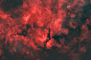 Gamma_Cygn_2026_08_Pleiades68_ASI2400C.jpg