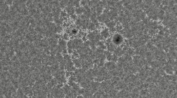 2026-09-05-0701_4-CapObj_lapl2_ap8158.jpg
