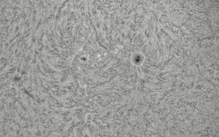 2026-09-05-0710_1-CapObj_lapl2_ap9655.jpg