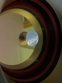 IMG_4231.jpeg
