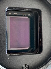 QHY294M-04.jpg