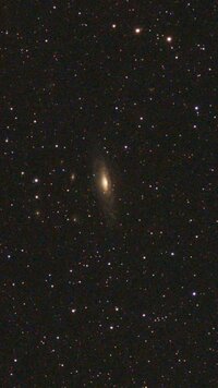 NGC 7331 Kopie.jpg