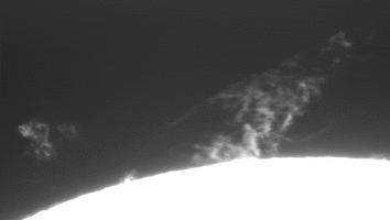 Sonne Video 2.gif