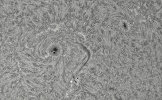 2026-09-09-0730_0-CapObj_lapl5_ap4204.jpg