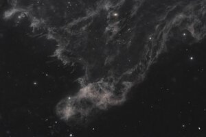 LBN406_Starless.jpg
