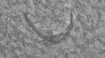 2026-09-10-0843_8-CapObj_lapl2_ap1567.jpg