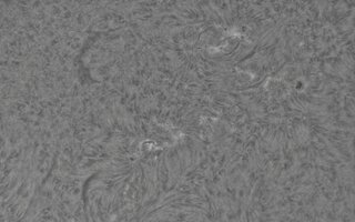 2026-09-10-0815_8-CapObj_lapl2_ap9655.jpg