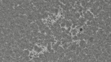 2026-09-10-0804_1-CapObj_lapl2_ap8541.jpg