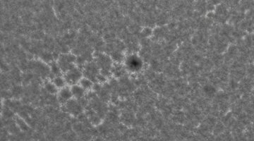 2026-09-10-0805_5-CapObj_lapl2_ap8478.jpg