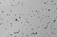 2019Q420190904ut257sec9x100.jpg