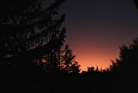IMG_8441.JPG