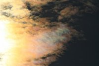 IMG_8495.JPG