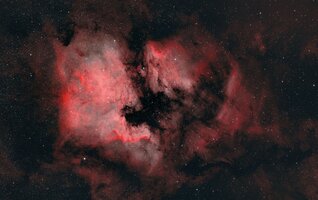 NGC7000 u. IC5070 Nordamerika- u. Pelikannebel.jpg