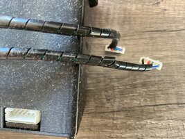 IMG_0324.jpeg