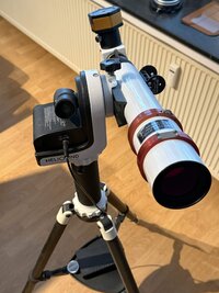 IMG_3381.jpg