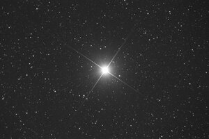 IMG_1663.jpeg