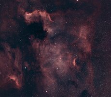 NGC7000.jpg