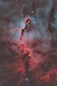 IC1396A_SHO_RGB.jpg