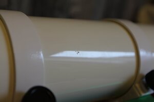 IMG_9460.jpeg