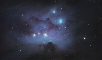 IMG_1413.jpeg