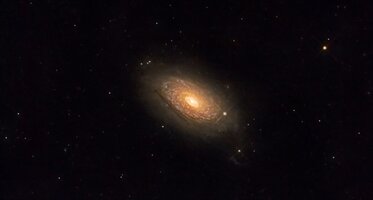 IMG_1410.jpeg