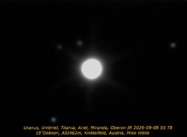 2026-09-08-0221_3-L_lapl5_ap4.jpg