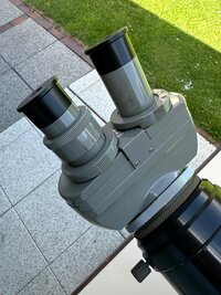 IMG_5208 2.JPG