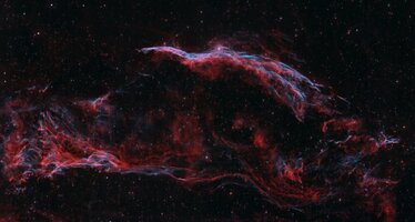 0CRc7JGzviYW_2560x0_n1wMX-gx.jpg