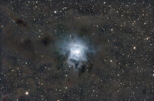 NGC7023.jpg