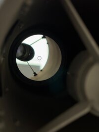 IMG_3239.jpeg