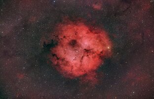 IC1396 der Elefantenrüsselnebel.jpg