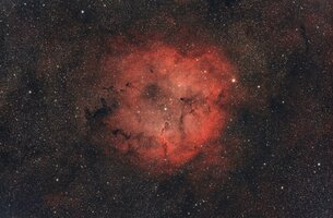 IMG_5446.jpeg
