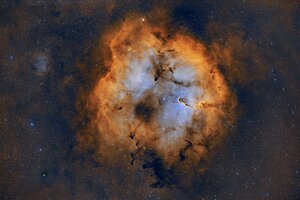 IC1396_52x300sDNB.jpeg