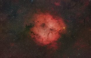 IC1396 der Elefantenrüsselnebel.jpg