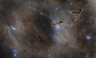 HelpHand_54x180sL_48u38x180sRGB.jpg