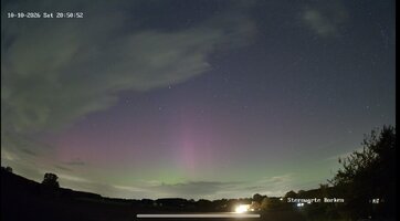 IMG_9162.jpeg