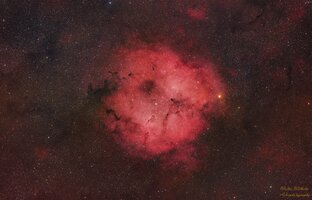IC1396 der Elefantenrüsselnebel.jpg IC1396 der Elefantenrüsselnebel.jpg