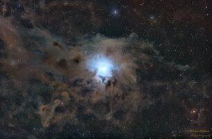 NGC 7023 der Iris Nebel.jpg NGC 7023 der Iris Nebel.jpg