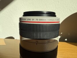 IMG_6971.JPG