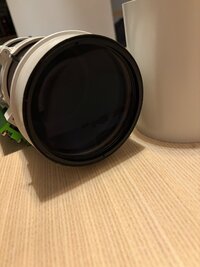 IMG_2666.jpeg